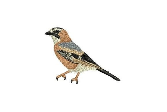 Jay Bird Embroidery Review