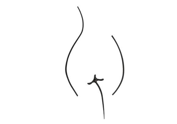 Woman Body Line Art Embroidery Review